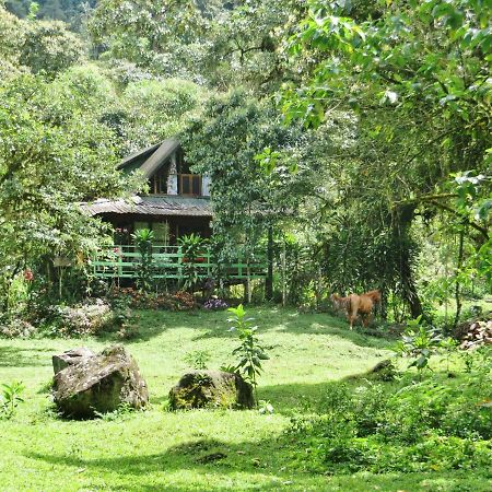 Mindo Eco Chalet Con Rio Y Cascada 外观 照片
