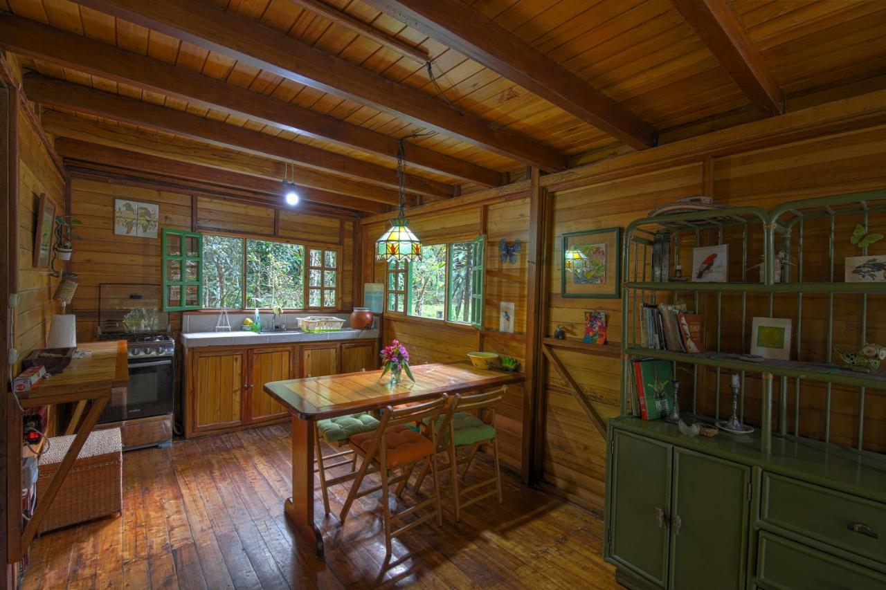Mindo Eco Chalet Con Rio Y Cascada 外观 照片