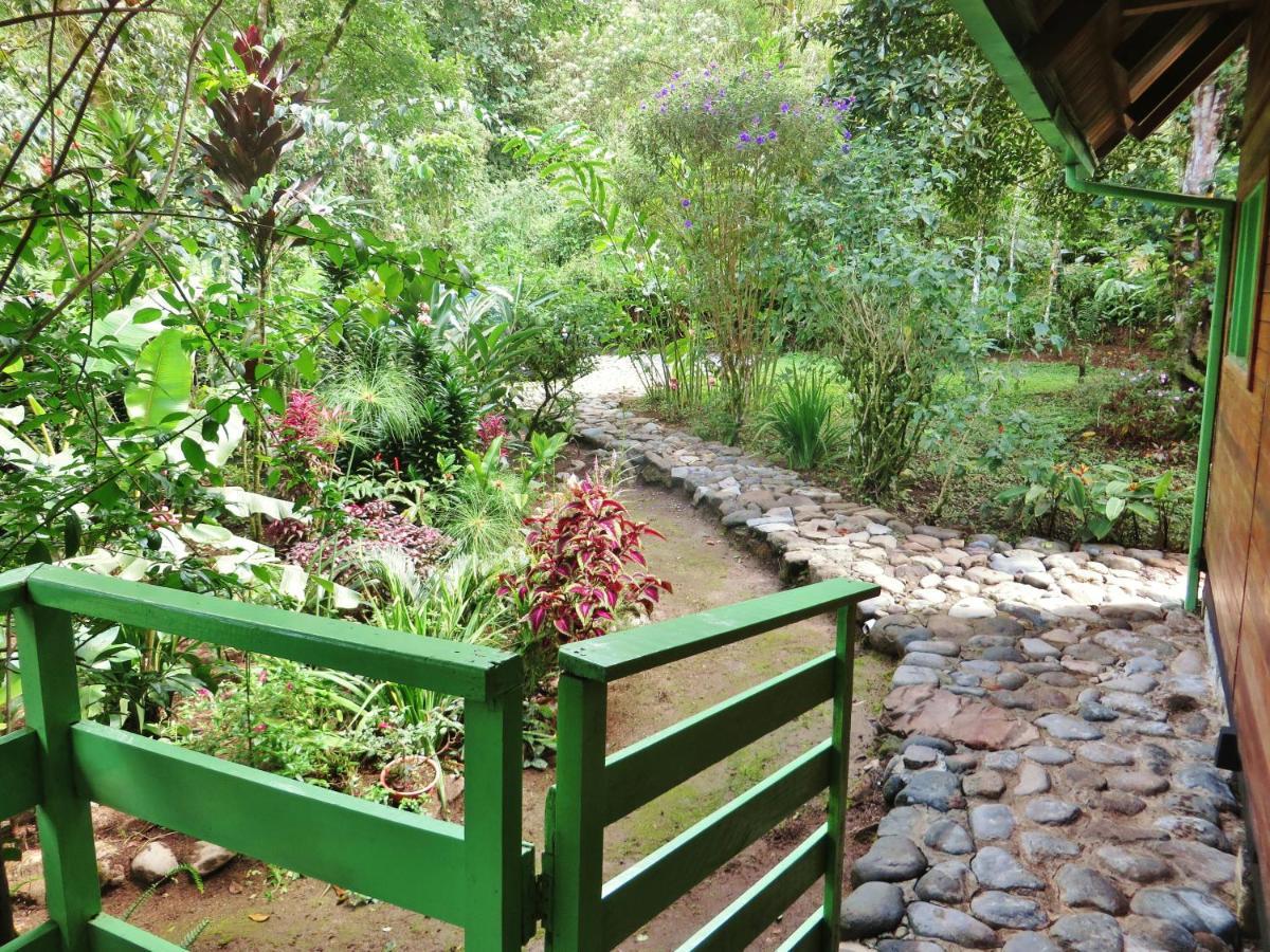 Mindo Eco Chalet Con Rio Y Cascada 外观 照片
