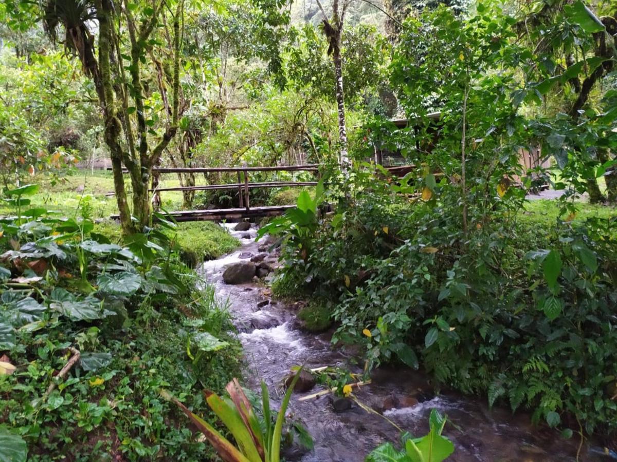 Mindo Eco Chalet Con Rio Y Cascada 外观 照片