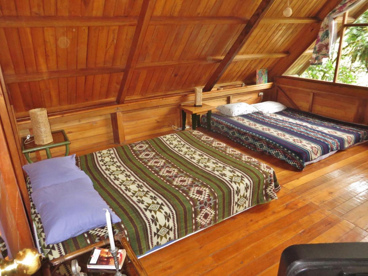 Mindo Eco Chalet Con Rio Y Cascada 外观 照片