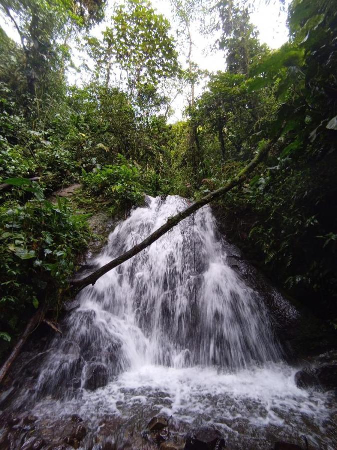 Mindo Eco Chalet Con Rio Y Cascada 外观 照片