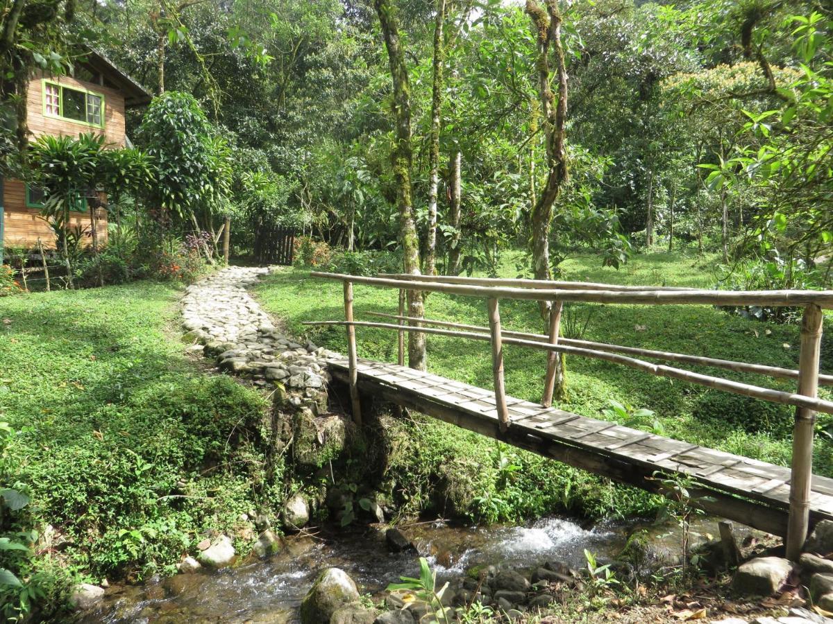 Mindo Eco Chalet Con Rio Y Cascada 外观 照片