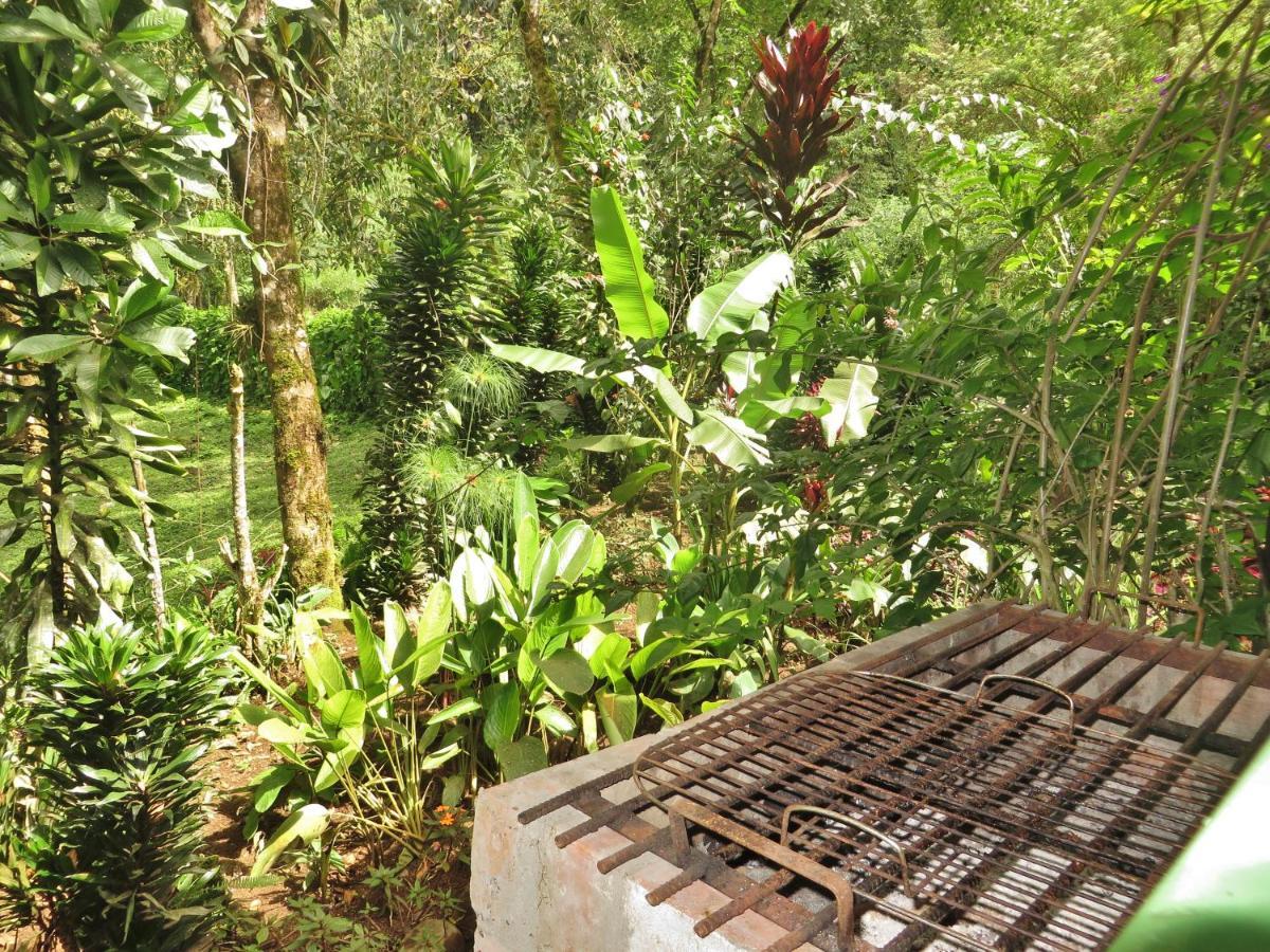 Mindo Eco Chalet Con Rio Y Cascada 外观 照片