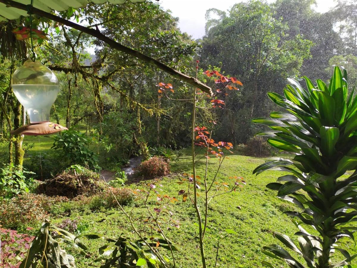 Mindo Eco Chalet Con Rio Y Cascada 外观 照片